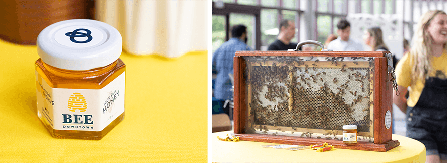 Honey Bee display