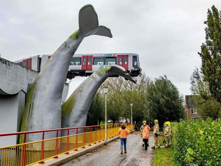 Saved by a whale's tail - The Invisible Nature of Value