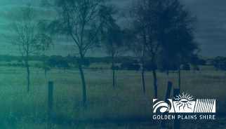 Golden Plains