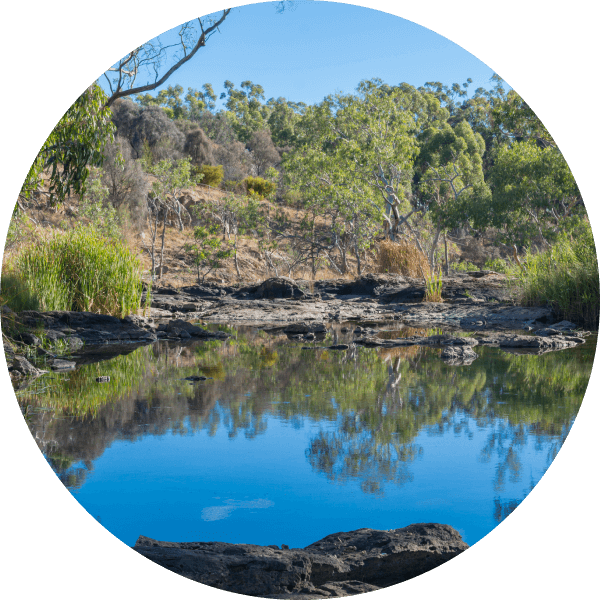 Wannon Water