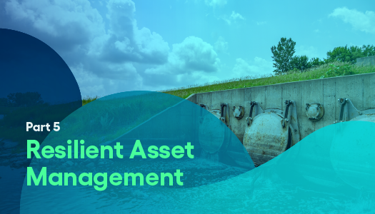 Part 5: Resilient Asset Management