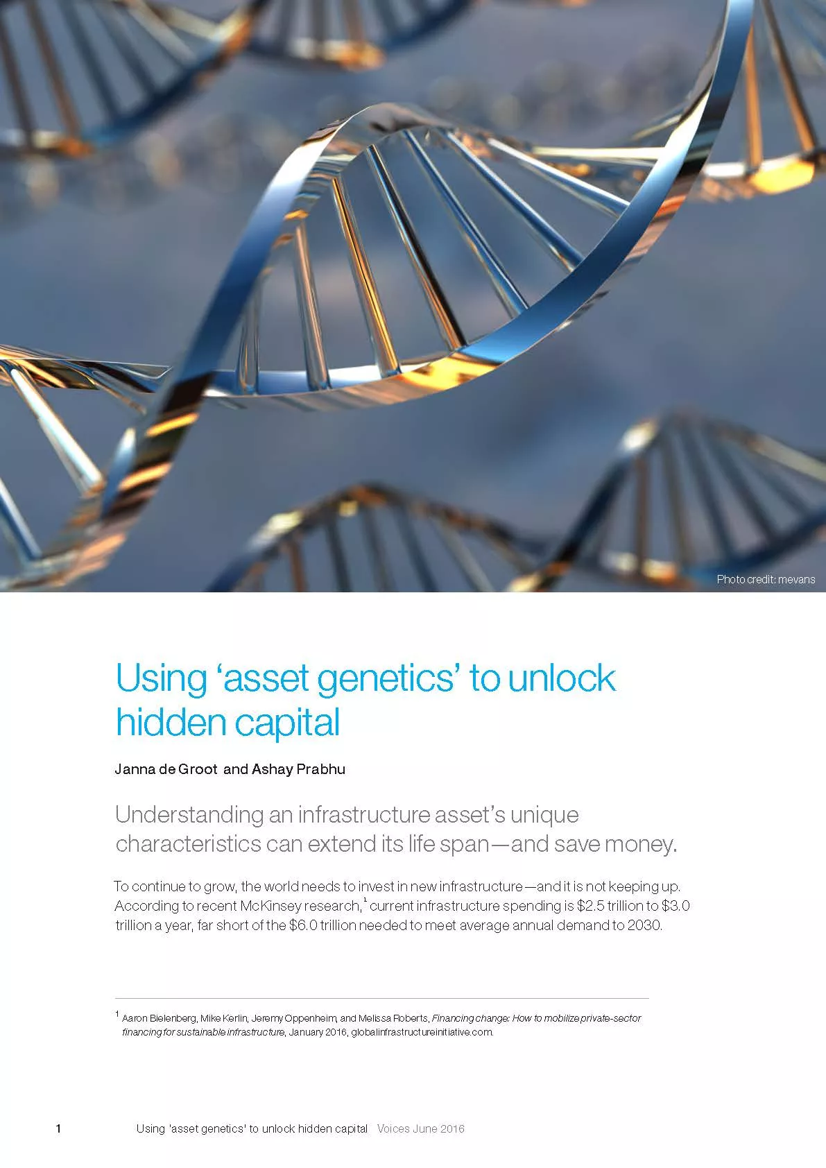 Assetic Genetic Report Preview