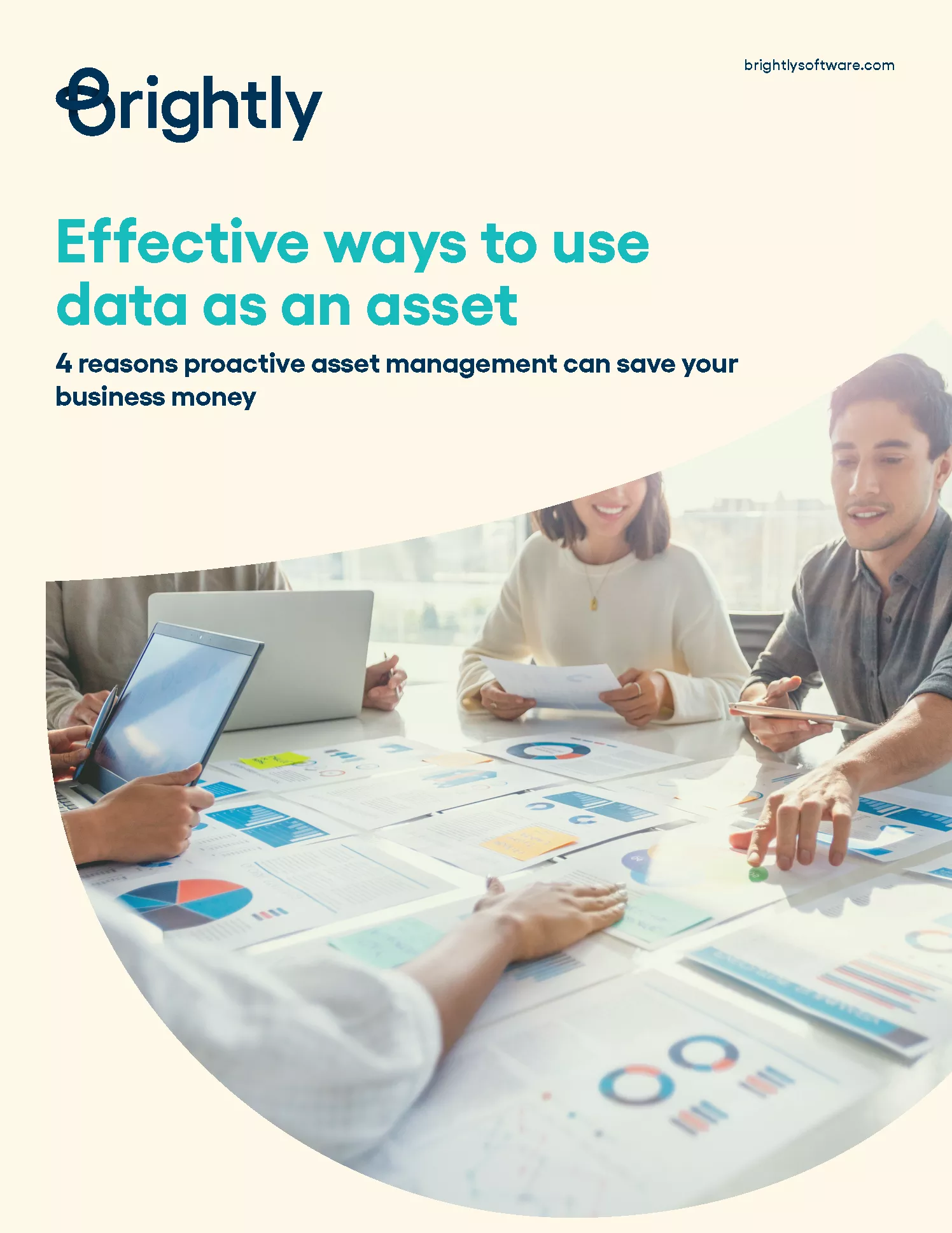 Data as an Asset - E-book - Cover
