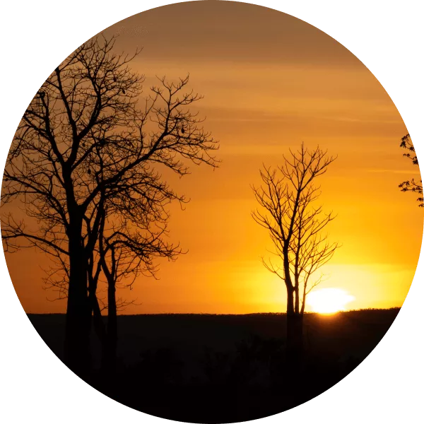 Golden Shire