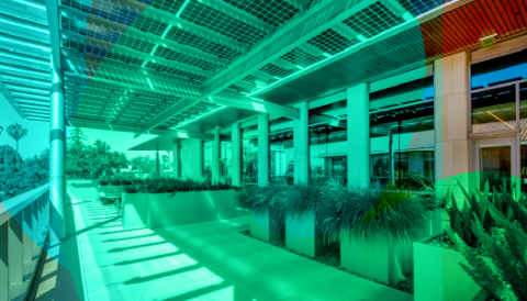 5 Important Reasons to Utilize a Sustainability Strategy